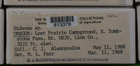 Image Associated With the Occurence